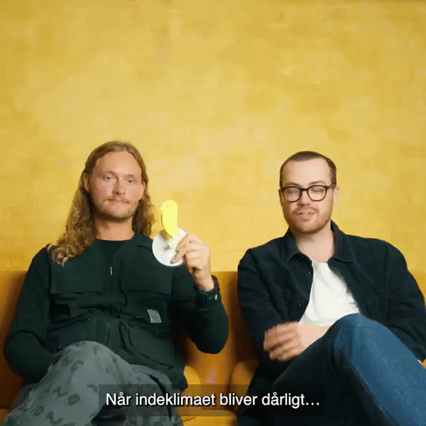 💌 Nest News, November 2024: + 7 million views in one month + Donation 🏆