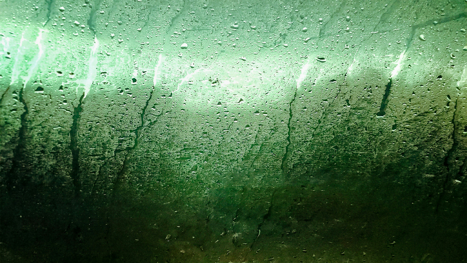 Humidity is crucial for a healthy indoor climate: Here's how to improve it